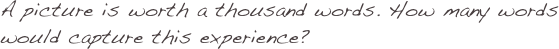 A picture is worth a thousand words. How many words would capture this experience?